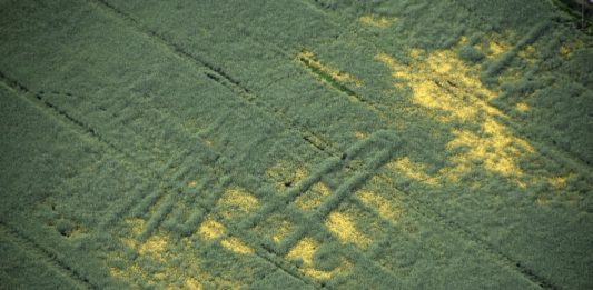 Zdjęcia lotnicze ukazują tajemnicze osadnictwo sprzed 7 tys. lat
