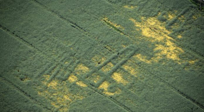 Zdjęcia lotnicze ukazują tajemnicze osadnictwo sprzed 7 tys. lat