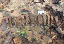 Skarb 14 siekierek z epoki brązu odkryty w Anglii przez 2 Polaków (GALERIA)