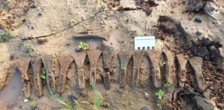 Skarb 14 siekierek z epoki brązu odkryty w Anglii przez 2 Polaków (GALERIA)