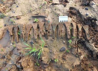 Skarb 14 siekierek z epoki brązu odkryty w Anglii przez 2 Polaków (GALERIA)