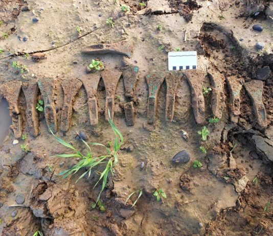 Skarb 14 siekierek z epoki brązu odkryty w Anglii przez 2 Polaków (GALERIA)