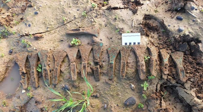 Skarb 14 siekierek z epoki brązu odkryty w Anglii przez 2 Polaków (GALERIA)