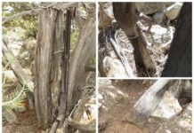 „Zapomniany Winchester” pamiętający podbój Dzikiego Zachodu (GALERIA)