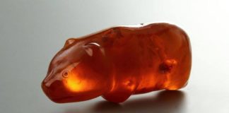 Niesamowity bursztynowy Słupski niedźwiadek szczęścia, pochodzi z epoki neolitu