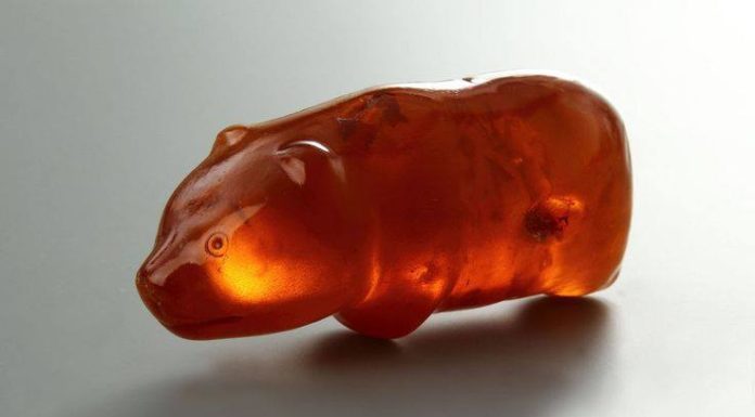 Niesamowity bursztynowy Słupski niedźwiadek szczęścia, pochodzi z epoki neolitu