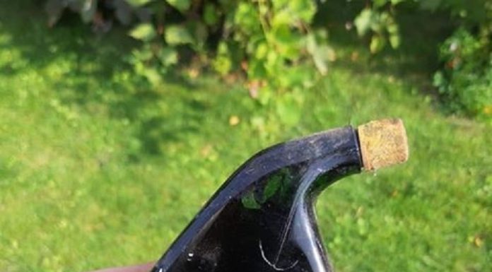 Kopał na podwórku i znalazł ciekawą buteleczkę po Rheumasn z 1936 roku