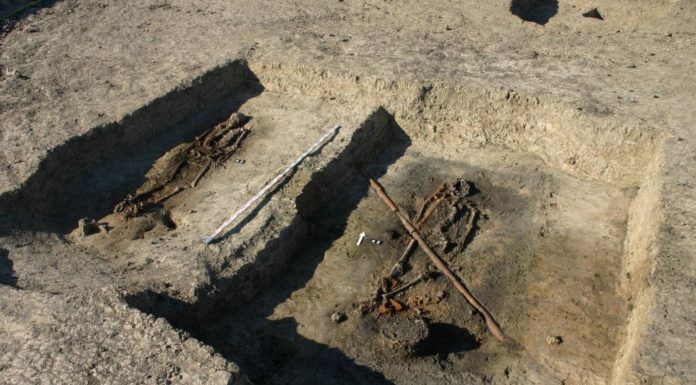 Pomorze. Czterech wojów z XI w. pochowanych w grobach pochodziło ze Skandynawii