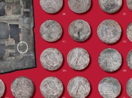 Lubuskie. Skarb odkrytych 89 srebrnych talarów zostanie wreszcie zaprezentowany