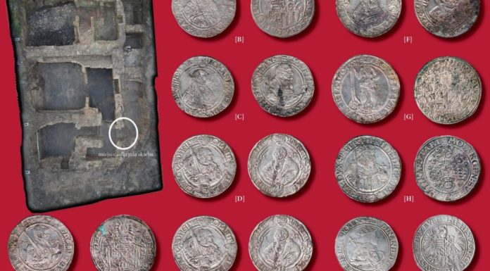 Lubuskie. Skarb odkrytych 89 srebrnych talarów zostanie wreszcie zaprezentowany