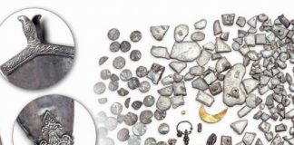 Monety blisko 20 władców w skarbie z Karpackiej Troi (GALERIA)