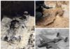 Wrak samolotu B-25 Mitchell i szczątki radzieckich żołnierzy na Śląsku (GALERIA)