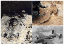 Wrak samolotu B-25 Mitchell i szczątki radzieckich żołnierzy na Śląsku (GALERIA)