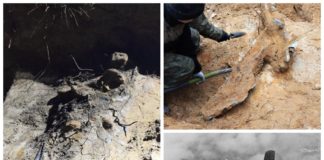 Wrak samolotu B-25 Mitchell i szczątki radzieckich żołnierzy na Śląsku (GALERIA)