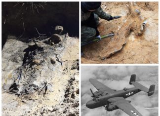 Wrak samolotu B-25 Mitchell i szczątki radzieckich żołnierzy na Śląsku (GALERIA)