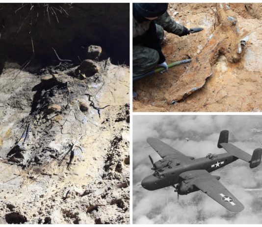 Wrak samolotu B-25 Mitchell i szczątki radzieckich żołnierzy na Śląsku (GALERIA)