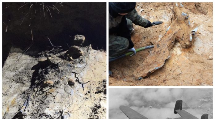 Wrak samolotu B-25 Mitchell i szczątki radzieckich żołnierzy na Śląsku (GALERIA)