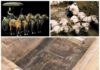 Terakotowa armia rośnie – odkryto kolejne 220 figur (GALERIA)