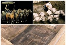 Terakotowa armia rośnie – odkryto kolejne 220 figur (GALERIA)