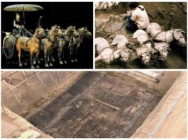 Terakotowa armia rośnie – odkryto kolejne 220 figur (GALERIA)