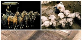 Terakotowa armia rośnie – odkryto kolejne 220 figur (GALERIA)