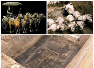 Terakotowa armia rośnie – odkryto kolejne 220 figur (GALERIA)