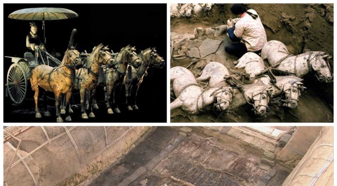 Terakotowa armia rośnie – odkryto kolejne 220 figur (GALERIA)