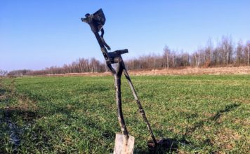 Dolnośląskie. Policja zatrzymała człowieka z wykrywaczem na polu