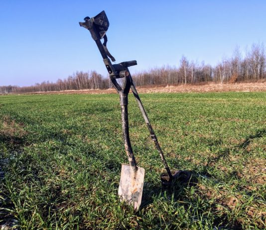Dolnośląskie. Policja zatrzymała człowieka z wykrywaczem na polu