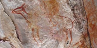 TV na potrzeby programu zniszczyła malowidła sprzed 11 tys lat – zapłacą 0,5 mln dol. kary