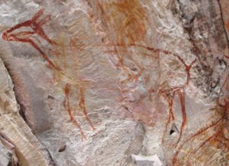 TV na potrzeby programu zniszczyła malowidła sprzed 11 tys lat – zapłacą 0,5 mln dol. kary