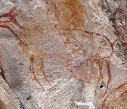 TV na potrzeby programu zniszczyła malowidła sprzed 11 tys lat – zapłacą 0,5 mln dol. kary