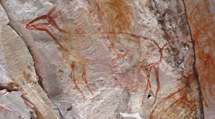 TV na potrzeby programu zniszczyła malowidła sprzed 11 tys lat – zapłacą 0,5 mln dol. kary