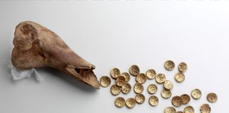 Złote monety sprzed 2 tys lat znalezione w… krowiej kości! (GALERIA)