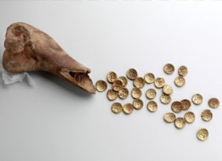 Złote monety sprzed 2 tys lat znalezione w… krowiej kości! (GALERIA)