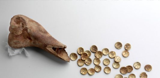 Złote monety sprzed 2 tys lat znalezione w… krowiej kości! (GALERIA)