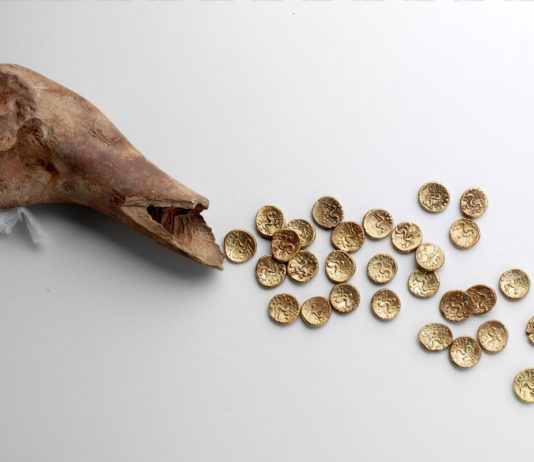 Złote monety sprzed 2 tys lat znalezione w… krowiej kości! (GALERIA)