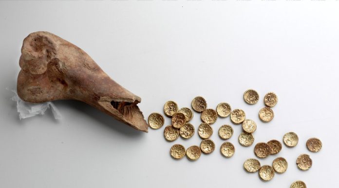 Złote monety sprzed 2 tys lat znalezione w… krowiej kości! (GALERIA)