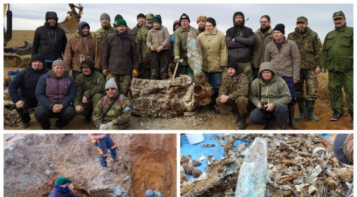 Polacy i Czesi wspólnie wydobyli wrak samolotu Messerschmitt Bf-109 K-4 (GALERIA)