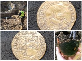 Złota moneta i inne ciekawe odkrycia pod nasypem przy ul.Blich w Krakowie (GALERIA)