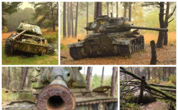 Stalowe potwory uśpione w niemieckim lesie… galeria, informacje i dojazd.