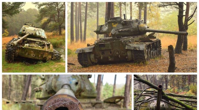 Stalowe potwory uśpione w niemieckim lesie… galeria, informacje i dojazd.