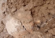 Kości na polach w Radkowie! 11 lat temu ktoś obiecał się tym zająć…