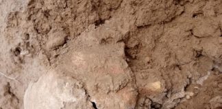 Kości na polach w Radkowie! 11 lat temu ktoś obiecał się tym zająć…