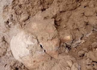 Kości na polach w Radkowie! 11 lat temu ktoś obiecał się tym zająć…