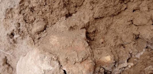 Kości na polach w Radkowie! 11 lat temu ktoś obiecał się tym zająć…