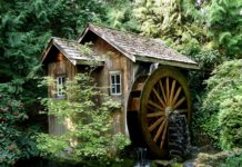 Badania wykazały że budowa młynów wodnych skutkowała powstaniem silnych osad