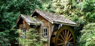 Badania wykazały że budowa młynów wodnych skutkowała powstaniem silnych osad