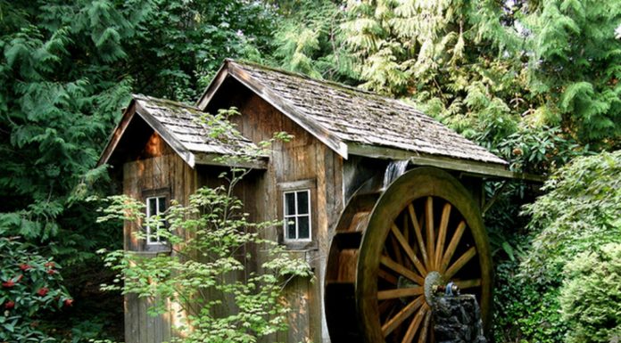 Badania wykazały że budowa młynów wodnych skutkowała powstaniem silnych osad