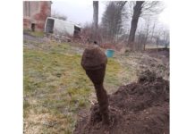 Kotlina Kłodzka. Niemiecki panzerfaust wykopany przypadkiem na podwórzu